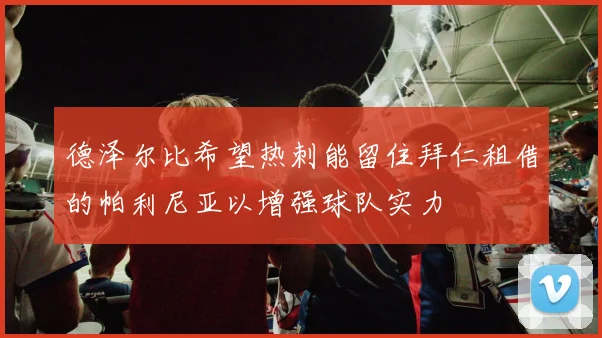 德泽尔比希望热刺能留住拜仁租借的帕利尼亚以增强球队实力