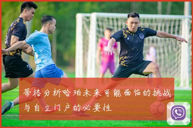 蒂格分析哈珀未来可能面临的挑战与自立门户的必要性