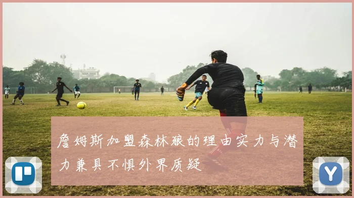 詹姆斯加盟森林狼的理由实力与潜力兼具不惧外界质疑