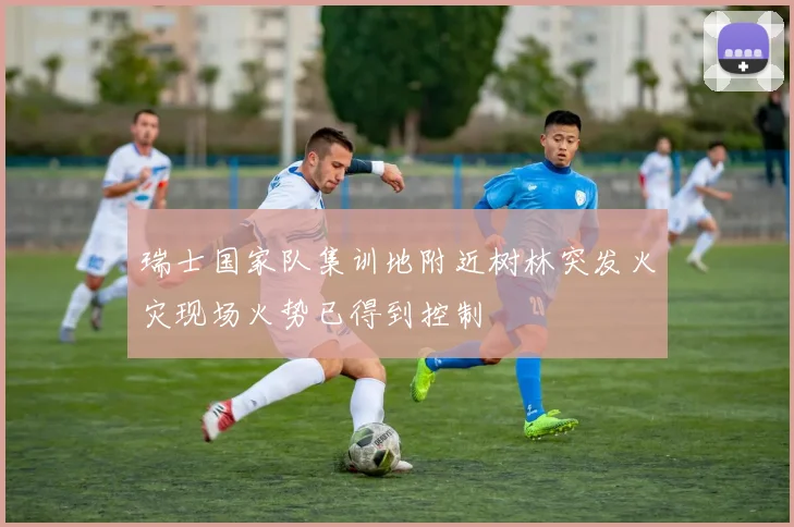 瑞士国家队集训地附近树林突发火灾现场火势已得到控制
